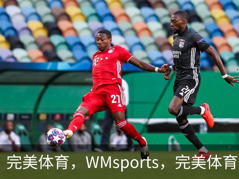 完美体育，WMsports，完美体育官方，完美体育平台，完美体育下载品牌故事
